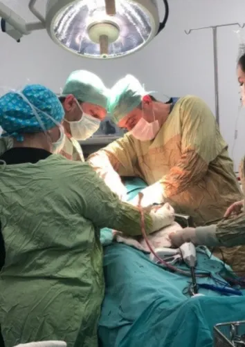 Op. Dr. Ömer Fatih ÇELİK - Gallery image 2